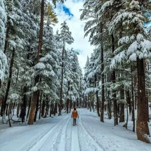 03 Days Corporate Tour-Swat/Kalam