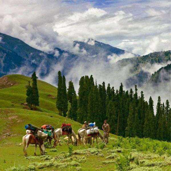 02 Days Corporate Tour-Shogran Valley